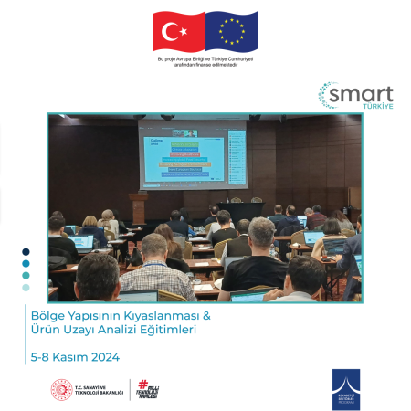 Modül 6 & 7: Bölge Yapısının Kıyaslanması ve Ürün Uzayı Analizi Eğitimi